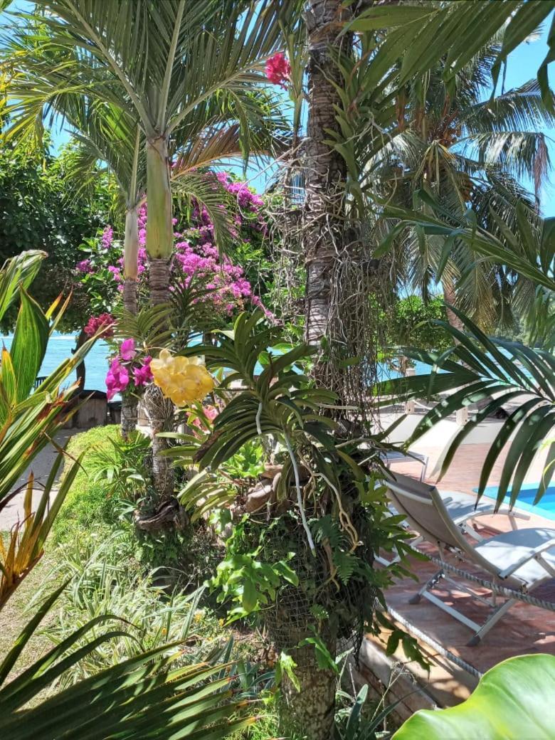 Crown Beach Hotel Seychelles Pointe Au Sel 외부 사진